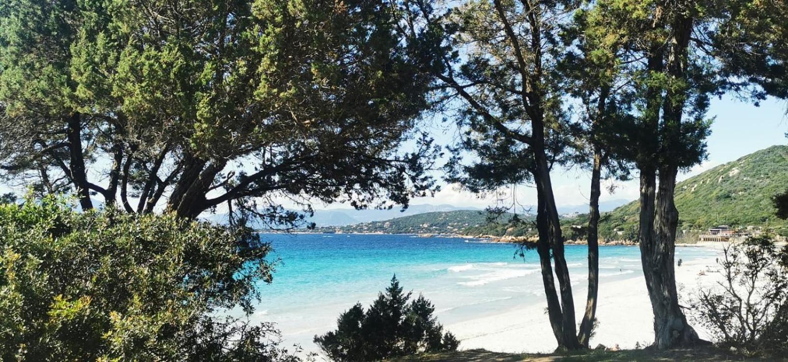 Studio Avec Terasse Vue Mer Porticcio  Exteriér fotografie